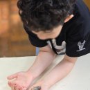 창진초등학교 이미지