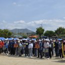 신녕초교 이미지