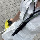 주헌 농장 | 치일월