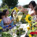 장세영농장 이미지