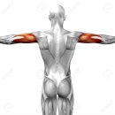 안녕필라테스 이미지