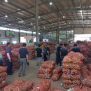 평화공판장 이미지