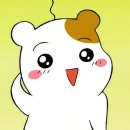마켓라인 이미지