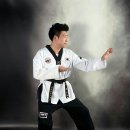 연세 태권도장 이미지