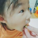 명륜자연유치원 이미지