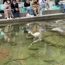 청계천 1호 화장실 | 서울야외도서관 청계천 책읽는 맑은냇가 위치 시간 이용후기