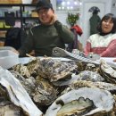 가평비타민팜체험농장 이미지