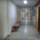 서울방화초등학교 네이버블로그