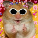 샘터길스테이 이미지