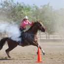 카우보이 이미지