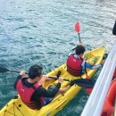 올인원투어 이미지