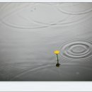 자연의 소리 이미지