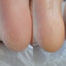 다온플래닝