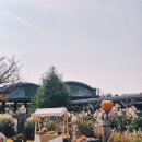 천리포수목원 | 태안 여행 태안 가볼만한곳 천리포수목원 가을단풍 후기