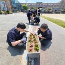 동성중학교 이미지