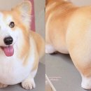 말랑말랑 이미지