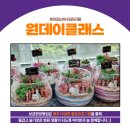 보금한방병원 이미지