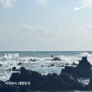 태위로 | [제주한달살이]::게하스텝 일상3주차