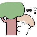 미가라멘배곧점