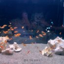 씨제이올리브영(주)대구동성로점 | 올리브영 과소비녀의 일상글 밀리지 않으깨요 제송해요