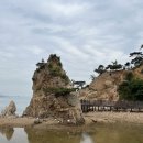 그린좌대 이미지