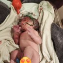 한창화학(주) | 동탄제일병원 초산 자연분만 후기 | 38주 3일, 양수 터지고 8시간 만의 출산 기록