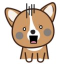 인제카튜닝 이미지