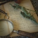 힐링 음악치유 이미지