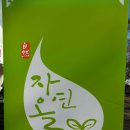 법인자연을담다 이미지