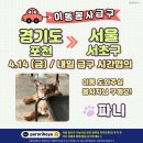 [함안보호소 유기견] “파니” 임보처갑니다 이동봉사자분 찾아요 (포천 출발 -서울 서초구) 이미지