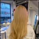 라벨라 베라