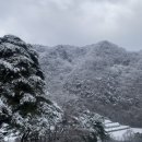 소백산 | 별 보러 갔다가 산뷰에 반해버린 단양 풀빌라 소백산 스테이 후기