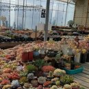 어천농장 이미지