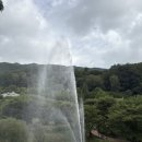 곤충생태원내 화장실(무당벌레) | 예천곤충생태원