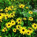 광주희망병원 이미지