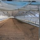 봉방동사무소 이미지