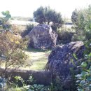 노당1리 이미지