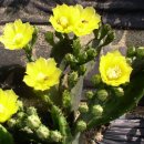 하늘농장6 이미지