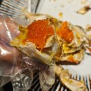 진주식당 | 노량진 제철 꽃게｜봄꽃게 기가막히게 쪄주는 초장집 진주식당 후기
