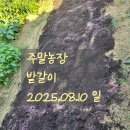 주초농장 이미지