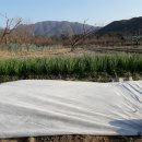 산림조합주유소 이미지