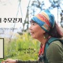 26년 5월 23일 817회차 바우길 주말 다 함께 걷기 이미지