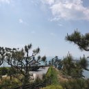 CU남지유채점 | 거제도 가볼만한곳 ::: 거가대교 / 가덕휴게소 / 바람의 언덕 / 유채꽃밭