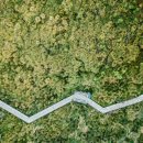 주감초등학교 이미지