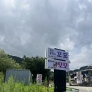 모모 애견풀빌라 | 가평,신축풀빌라,애견풀빌라,개별수영장,개별바베큐,여름휴가