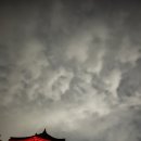 사계2499 - 서귀포시 사계남로21번길 31 | 사계2499
