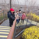 달맞이공원, 응봉, 청계천 트레킹 이미지