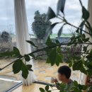 이른비스테이 이미지