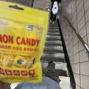 (주)플러그인티 | 뮤즈 내한 후기: 청춘을~~~돌려다오