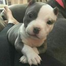 가비조아 | 사학년 일학기의 나 (3)